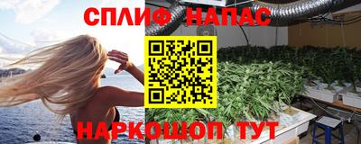 прущие грибы Обь